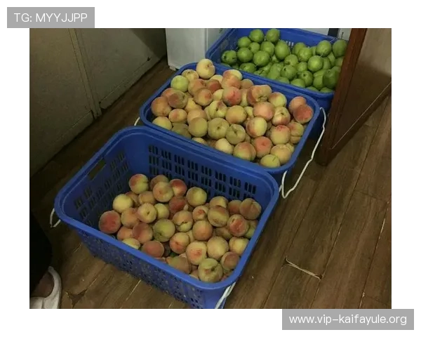 凯发登陆网会员注册失败时的安全验证问题及解决方案介绍 凯发登陆网会员注册失败时的安全验证问题及解决方案介绍