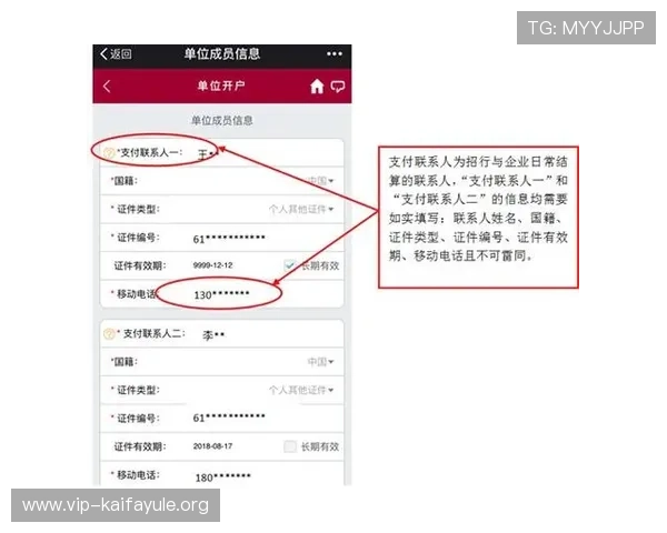 凯发开户技巧详解图全面解析开户流程中的常见问题与解决方案